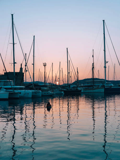 A picturesque sunset casts a warm, golden hue over a marina in San Diego, California, filled with moored sailboats and yachts.