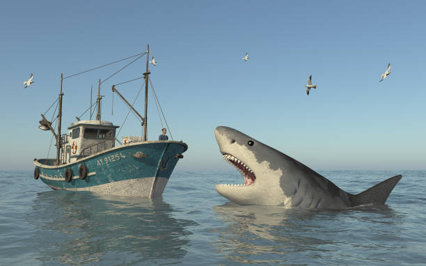 istock Fishing trawler and attacking great white shark 2182082812