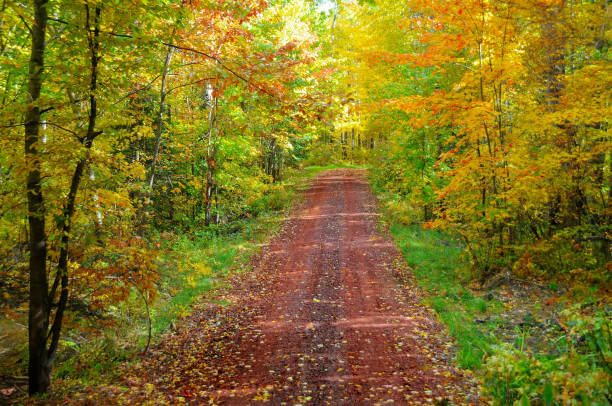 istock Country dirt road 2182086380
