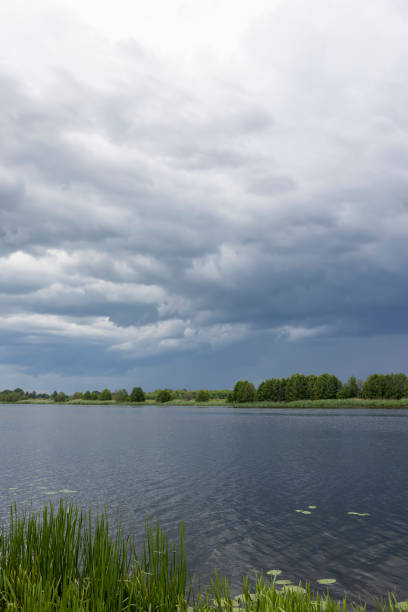 istock lake and trees on the shore before a storm 2182088809