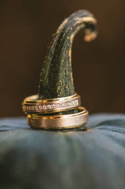 Wedding rings on a pumpkin stem