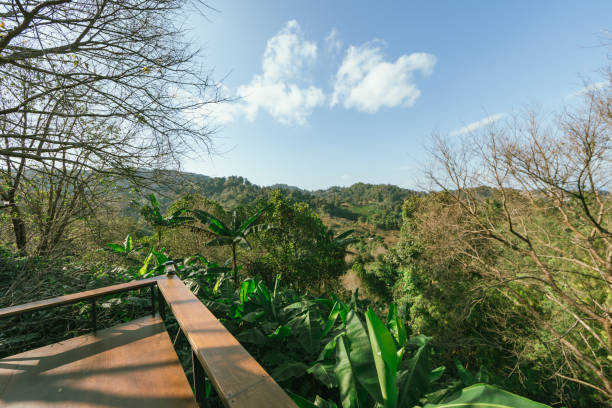 istock Doi Pang Khon in Chiang Rai, Thailand 2182089494