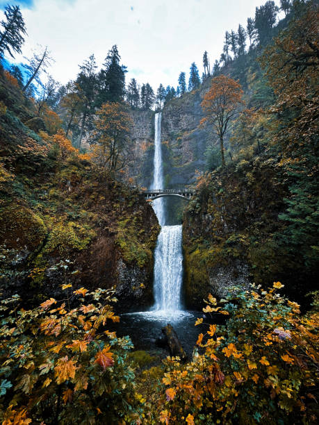 istock Multnomah Falls Surrounded by Autumn Colors 2182089757