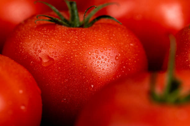 istock wet ripe red tomatoes on the table 2182089767