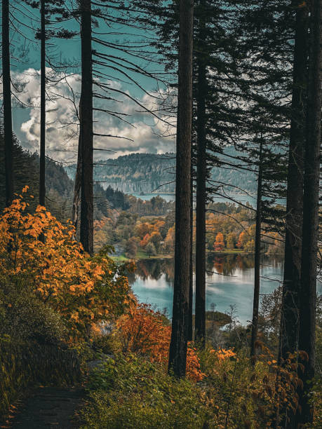 A forest trail framed by tall trees and vibrant autumn foliage, leading to a serene reflective lake with distant mountains under a partly cloudy sky, capturing nature’s tranquility.