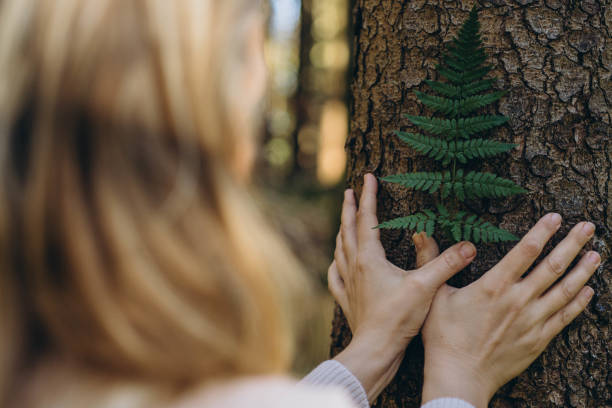 istock Young woman holding a fern leaf close to a tree in a serene forest setting 2182091262