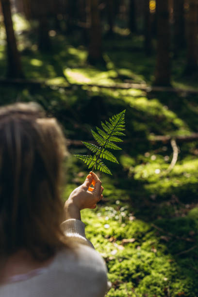 istock Sunlight streaming through a fern leaf held in a woman's hand 2182092279