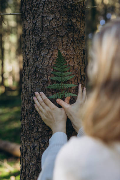 istock Young woman holding a fern leaf close to a tree in a serene forest setting 2182093204
