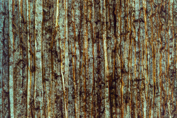 blue brown black striped paper background texture