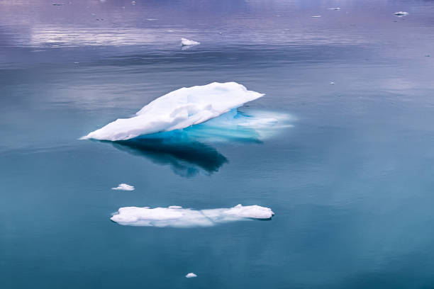 View of glaciers and icebergs in the fjords of South Greenland.