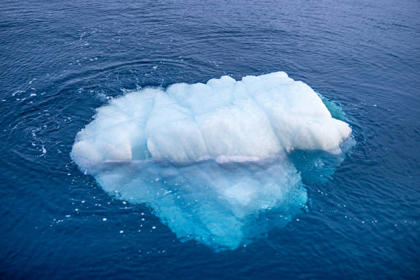 Lump of ice floating in the famous Ice Fjord outside Ilulissat in western Greenland which is an UNESCO World Heritage Site due to the Ice Fjord