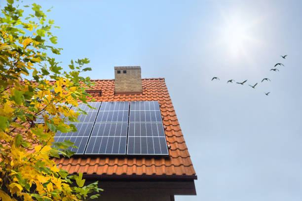 Solar panels installed on a red tile roof with bright sunlight and autumn leaves visible emphasizing renewable energy