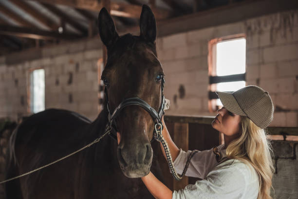 istock Tender Moment Between Woman and Horse in Stable 2182104073