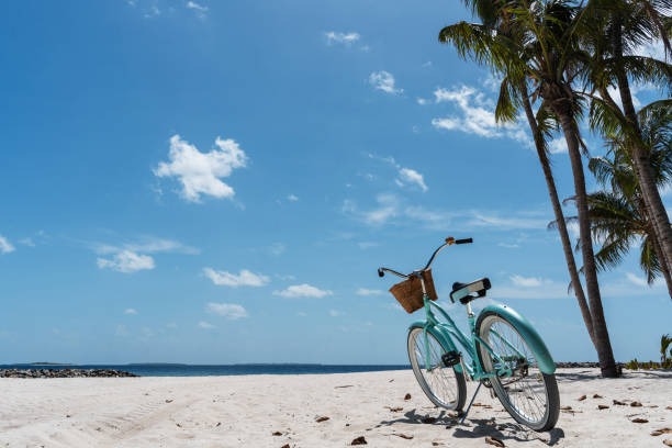 Vintage Beach Cruiser Bicycle on Sandy Beach at Sunset with Palm Trees.