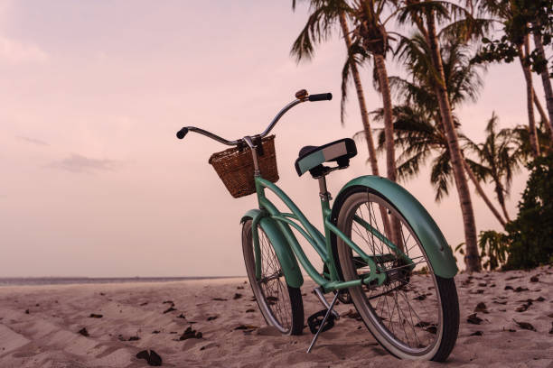 Vintage Beach Cruiser Bicycle on Sandy Beach at Sunset with Palm Trees.