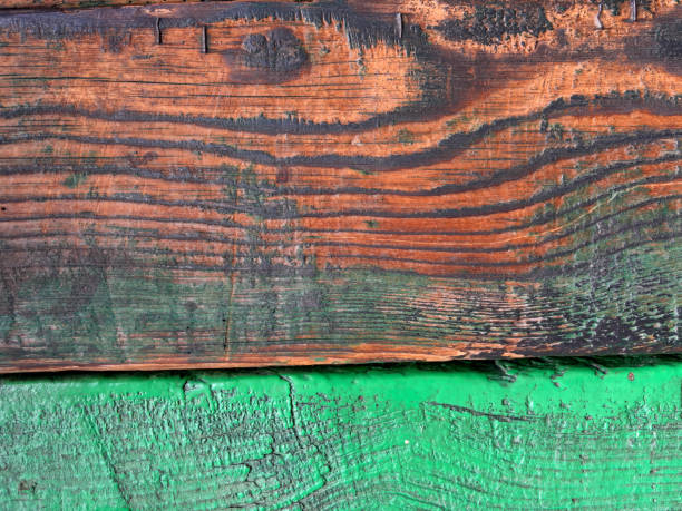A piece of wood with many holes in it. The holes are likely made by insects, such as termites or ants. The wood appears to be old and weathered, with a rough texture