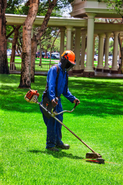 african man , contractor, with a trimmer cutting grass