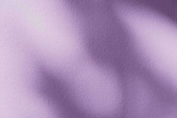 istock Purple Background for Spring,Summer Product present,Blank Backdrop Scene with abstract bokeh light, sun beam on interior wall texture,Empty Cement floor with nature shadow leaves for cosmetic banner 2182114998