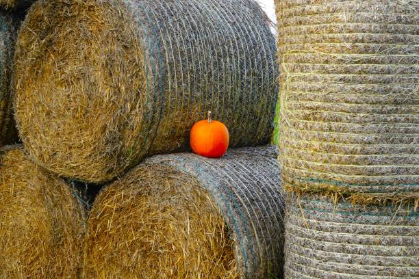 Hay bales with pumpkin
