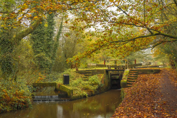A lock at bridge 25 on the Caldon Canal during autumn.