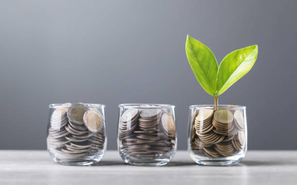 istock Glass jar filled with coins, with a small seedling growing in the center, placed on a table against a dark grey backdrop. The image represents the concept of saving and financial growth for future 2182117954