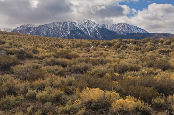 istock Meadow and Eastern Sierra Nevada Mountains 2182121288