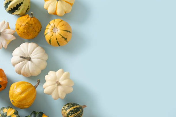 istock Autumn white and green pumpkins as pattern for Thanksgiving day or Halloween. 2182126242