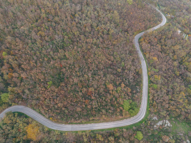 Drone view of a road and forest.