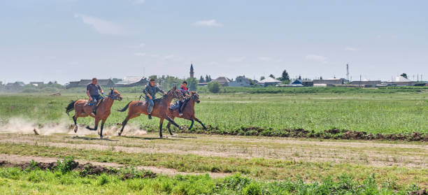 conde, bahia, brasil - january 8, 2022: Cowboy wearing traditional leather clothes with his horse on a farm in the city of Conde.