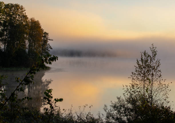 istock October 2024, Nature - Southern Sweden Part 1 2182133200