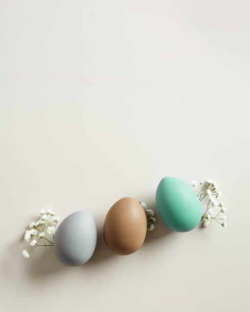 istock Easter Eggs pattern with White Gypsophila flowers on Light beige Background. Dyed colorful eggs in pastel colors, spring holiday photo, tender soft hues, flatly of celebration food and white blooms 2182134339
