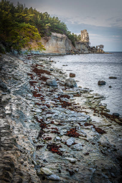 Rauk - weathered rock formation on Färö - Gotland island Sweden
