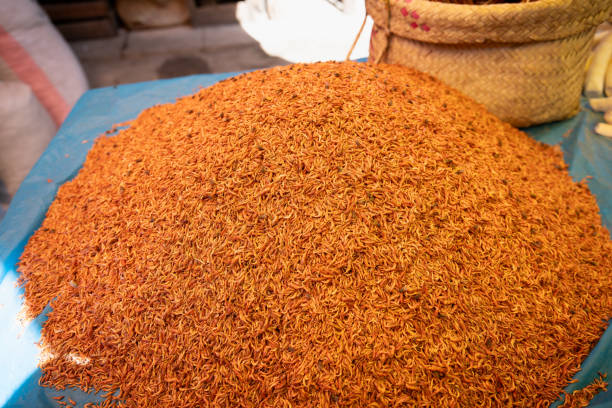 A big pile of dried red shrimp with some flies on it. The shrimps are small, orange-red, and placed on a blue plastic sheet. Morondava, Madagascar.
