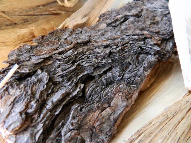 istock Cut wood close up 2182138981
