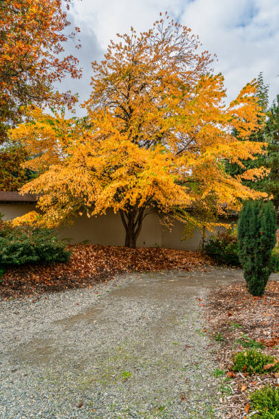 istock Kubota Autumn Entrance 2 2182140558
