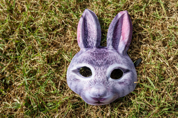 A rabbit mask with large ears and a detailed face sits on the ground surrounded by green grass. The bright sunlight creates a cheerful atmosphere ideal for outdoor activities.