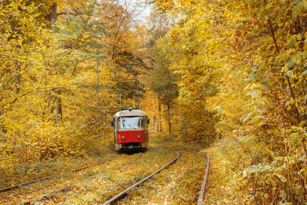 istock Old red tram moving through yellow autumn deciduous forest, fall landscape, ecological transport 2182146531