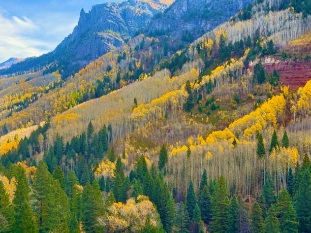 istock Autumn in the Rocky Mountains 2182146631