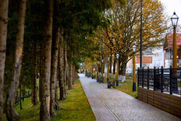 A beautiful alley with benches among autumn-colored trees. The upper embankment near the Cheremukha River in Rybinsk.