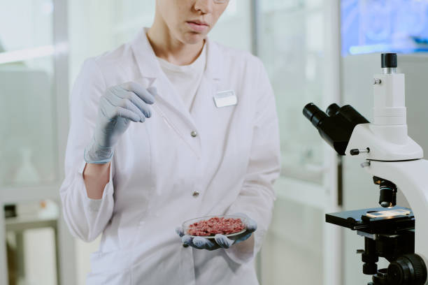 istock Scientist Examining Lab-Grown Meat Sample in Laboratory 2182156747