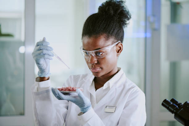istock Conducting Scientific Research in Modern Laboratory 2182156827