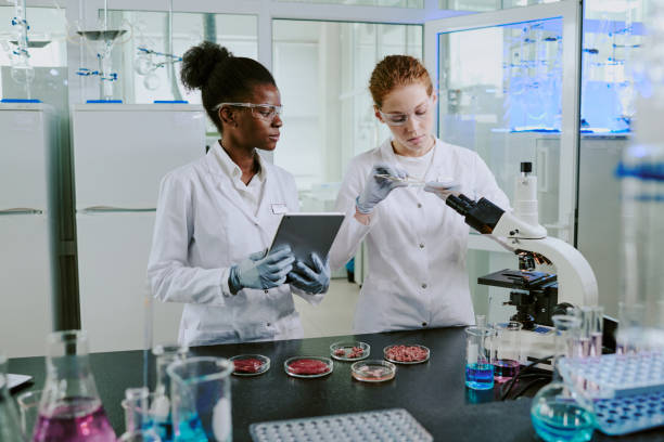 istock Observing Petri Dishes and Recording Data in Laboratory 2182156884