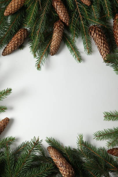istock New year's theme on white surface with fir branches. Design for greeting card. 2182157357