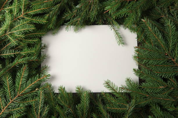 istock New year's theme on white surface with fir branches. Design for greeting card. 2182157363