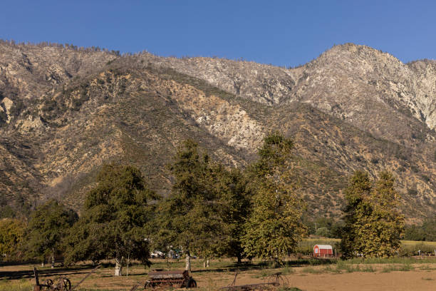 istock Oak Glen California Trees and Mountains 2182157858
