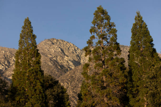 istock Oak Glen California Trees and Mountains 2182157880