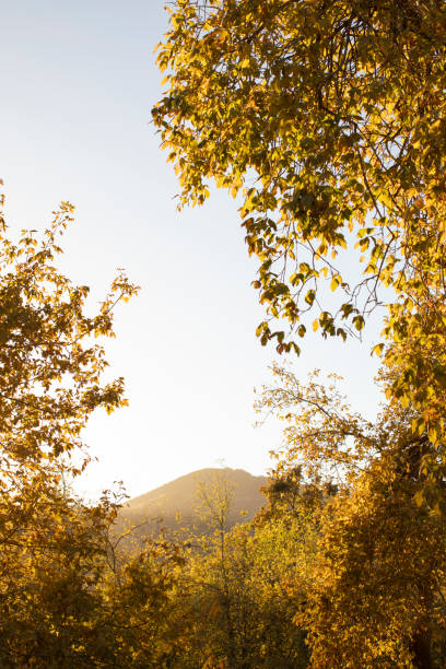 Beautiful autumn fall colors in the San Bernardino mountains of Oak Glen, California, USA.