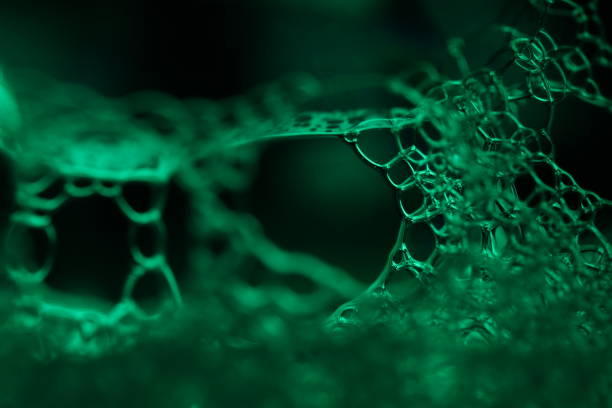 Fantastic liquid shapes on deep black background