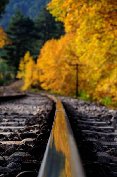 istock Train journey in autumn 2182165785