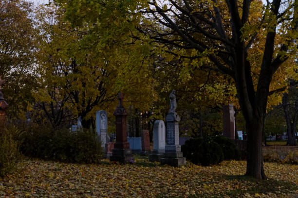 istock The Tombe de Jacques Cartier in Mount Royal Park 2182169940